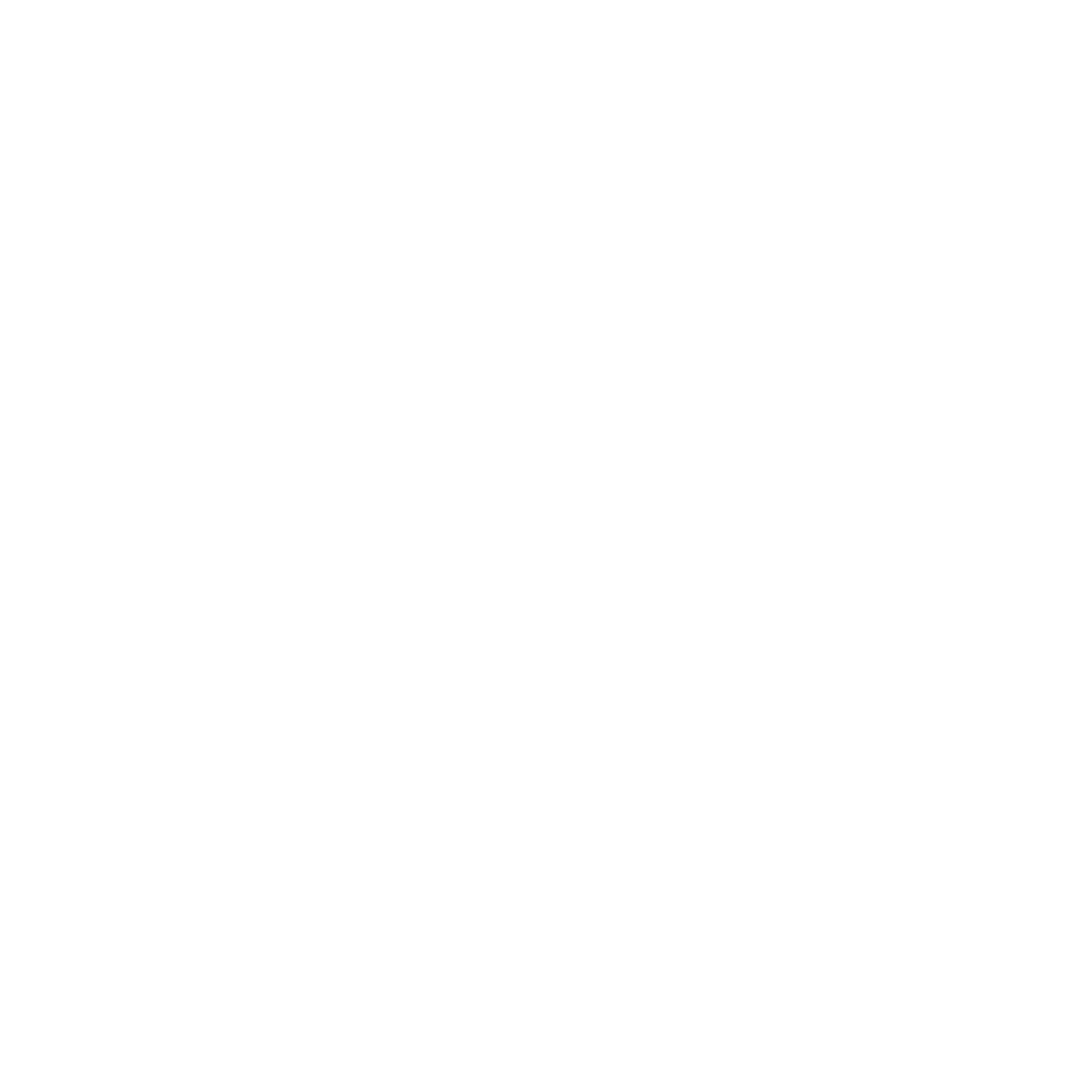 Nicole Mah Design Logo